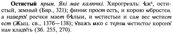 img/22/22-431_2538_Остистый.jpg