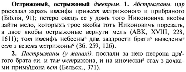 img/22/22-436_2568_Острижоный.jpg