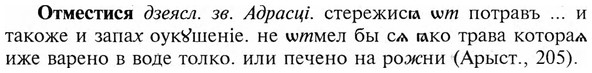 img/23/23-153_0689_Отместися.jpg
