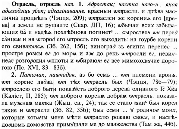 img/23/23-236_1072_Отрасль.jpg