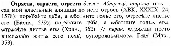 img/23/23-250_1202_Отрясти.jpg