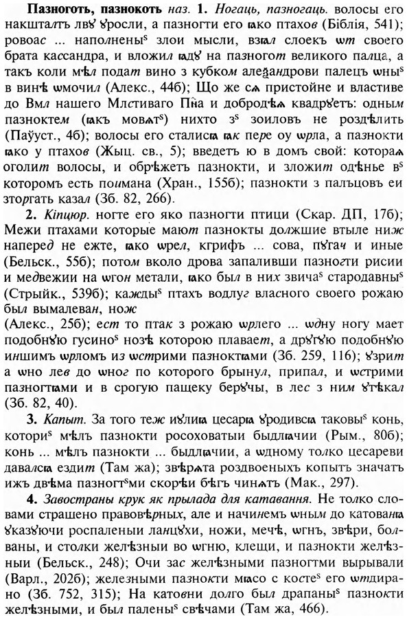 img/23/23-386_2040_Пазноготь.jpg