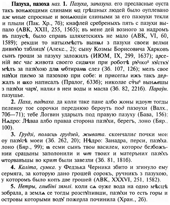 img/23/23-387_2043_Пазуха.jpg