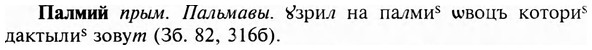 img/23/23-404_2105_Палмий.jpg