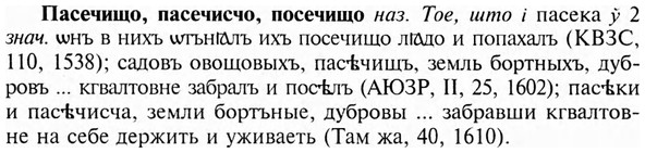 img/24/24-023_0157_Пасечищо.jpg