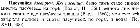img/24/24-038_0222_Пасучийся.jpg