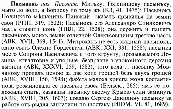 img/24/24-041_0231_Пасынокъ.jpg