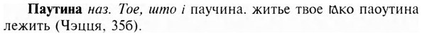 img/24/24-050_0294_Паутина.jpg