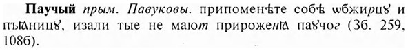 img/24/24-050_0297_Паучый.jpg