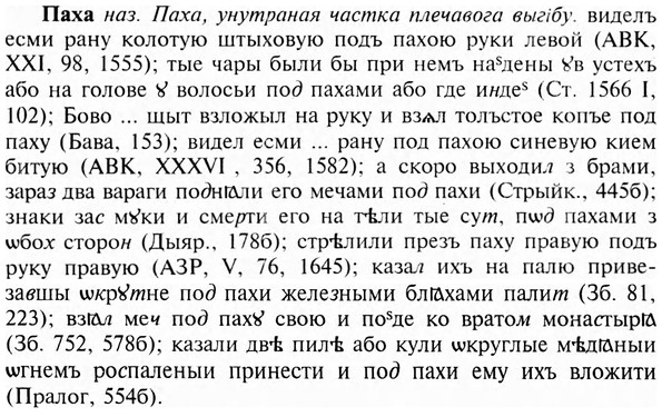 img/24/24-050_0302_Паха.jpg