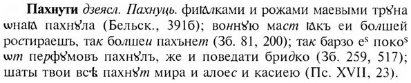 img/24/24-052_0309_Пахнути.jpg