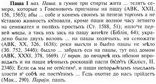 img/24/24-056_0331_Паша.jpg