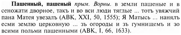 img/24/24-056_0334_Пашенный.jpg