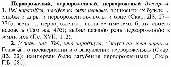 img/24/24-090_0527_Первороженый.jpg