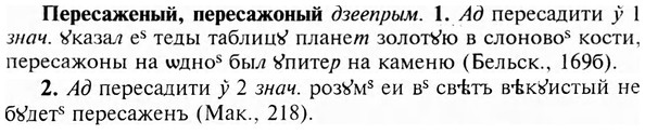 img/24/24-205_1114_Пересаженый.jpg