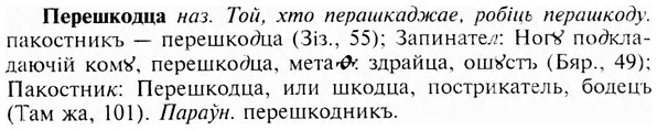 img/24/24-242_1337_Перешкодца.jpg