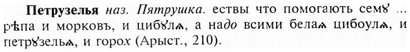 img/24/24-274_1524_Петрузелья.jpg