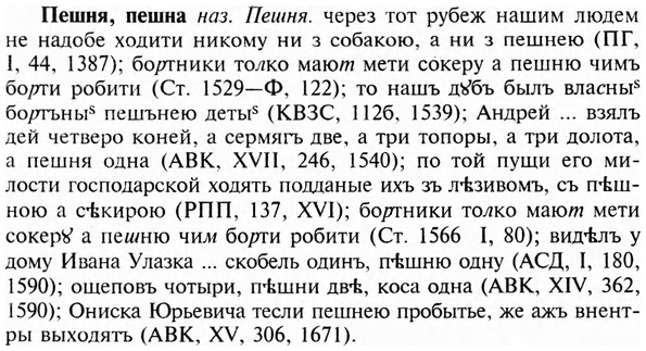 img/24/24-293_1618_Пешня.jpg