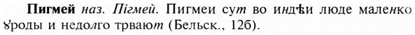 img/24/24-299_1651_Пигмей.jpg