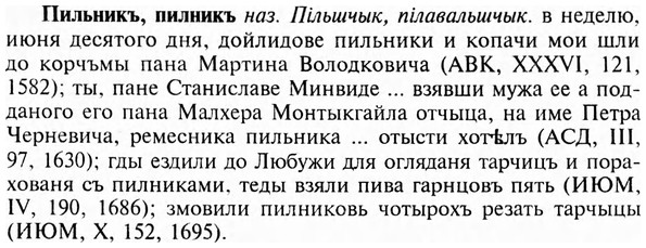 img/24/24-303_1685_Пильникъ.jpg