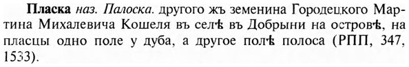 img/24/24-346_1842_Пласка.jpg