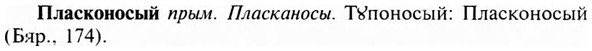 img/24/24-346_1845_Пласконосый.jpg