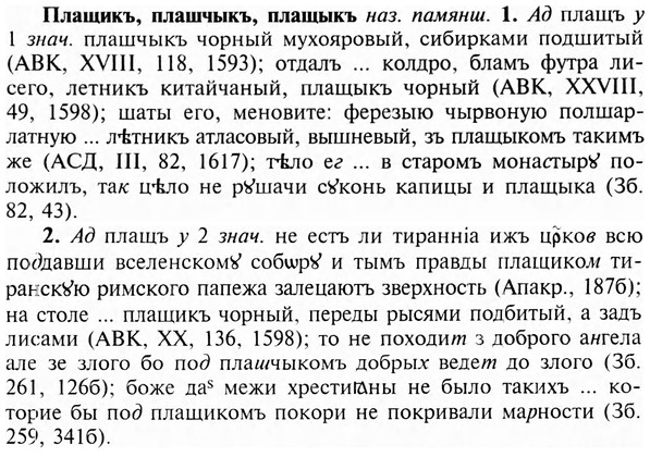 img/24/24-359_1910_Плащикъ.jpg
