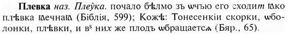 img/24/24-362_1926_Плевка.jpg