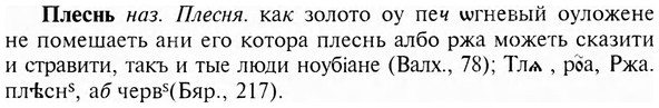 img/24/24-368_1966_Плеснь.jpg