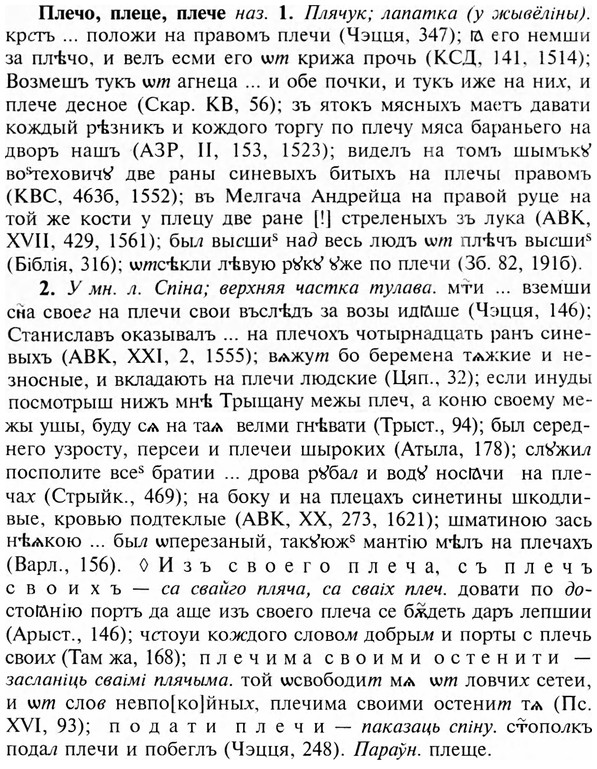 img/24/24-370_1990_Плечо.jpg