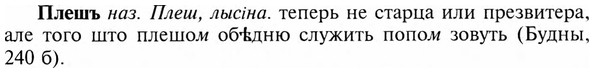 img/24/24-371_1993_Плешъ.jpg