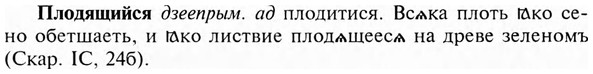 img/24/24-375_2023_Плодящийся.jpg
