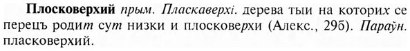 img/24/24-376_2030_Плосковерхий.jpg