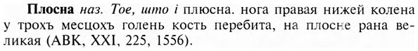 img/24/24-376_2033_Плосна.jpg