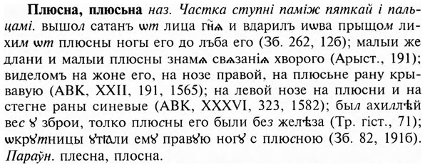 img/24/24-387_2121_Плюсна.jpg