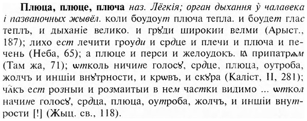 img/24/24-388_2126_Плюца.jpg