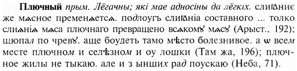 img/24/24-388_2127_Плючный.jpg