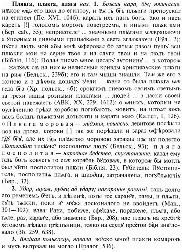 img/24/24-388_2129_Плякга.jpg