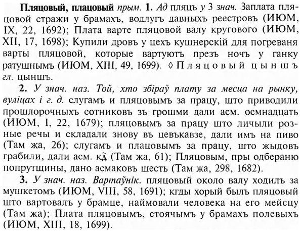 img/24/24-390_2140_Пляцовый.jpg