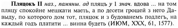 img/24/24-391_2142_Пляцокъ.jpg