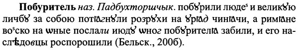 img/25/25-004_0007_Побуритель.jpg
