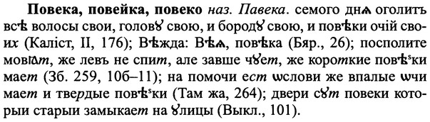 img/25/25-022_0104_Повека.jpg