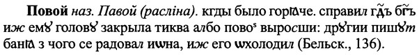 img/25/25-062_0303_Повой.jpg