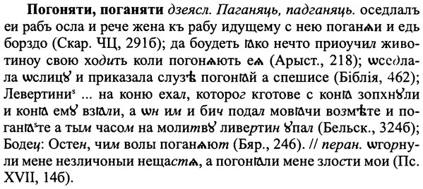 img/25/25-129_0688_Погоняти.jpg