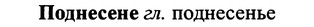 img/25/25-242_1345_Поднесене.jpg