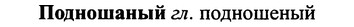 img/25/25-259_1373_Подношаный.jpg