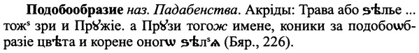 img/25/25-273_1416_Подобообразие.jpg