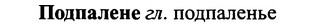img/25/25-285_1498_Подпалене.jpg