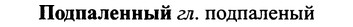 img/25/25-285_1499_Подпаленный.jpg
