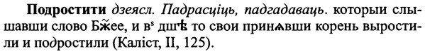 img/25/25-305_1620_Подростити.jpg